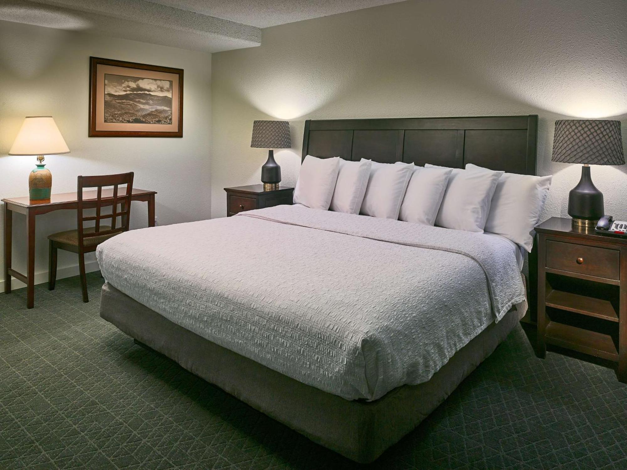 Hampton Inn Гетлинбург Екстериор снимка